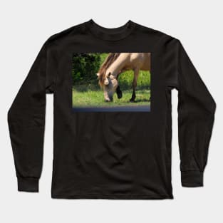 Buckskin Colored Assateague Pony Long Sleeve T-Shirt